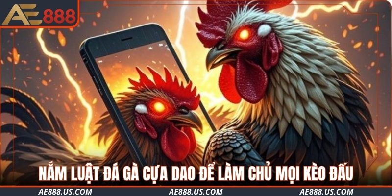 Nắm luật đá gà cựa dao để làm chủ mọi kèo đấu