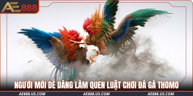 Người mới dễ dàng làm quen luật chơi đá gà Thomo